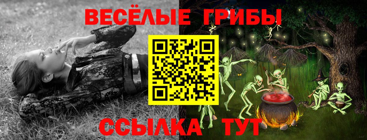 Псилоцибиновые грибы ЛСД  Галлюциногенные грибы мицелий  как найти   Новый Уренгой  Вход с VPN 